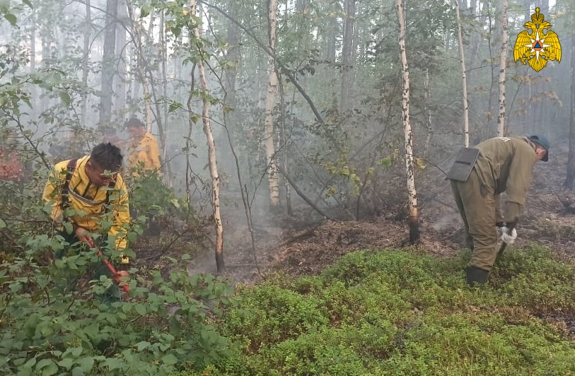 По данным авиалесоохраны в Якутии действует 35 лесных пожаров