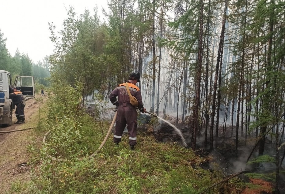 155 лесных пожара действуют в Якутии