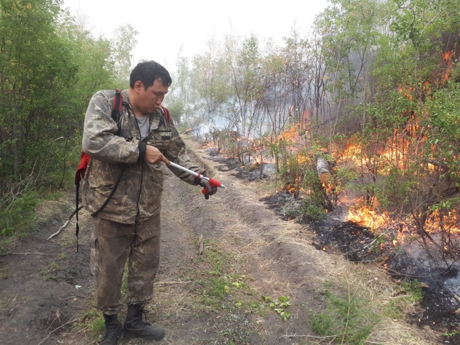 По данным авиалесоохраны в Якутии  действуют 35 лесных пожаров