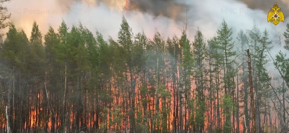 40 единиц техники выделили промышленные компании на борьбу с пожарами в Якутии