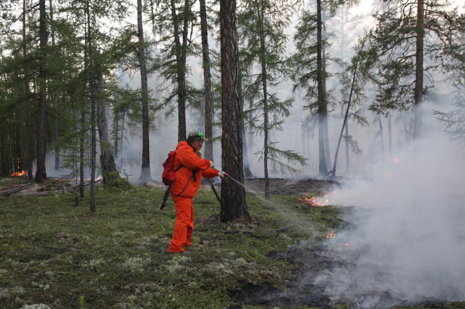 Вблизи села Маган продолжаются работы по локализации лесного пожара
