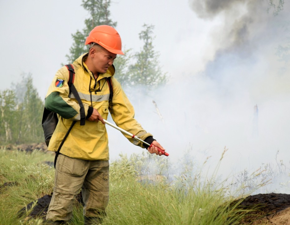 За сутки ликвидировано 15 природных пожаров на площади 439 тыс. гектар