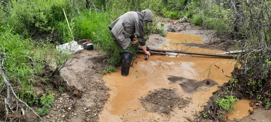 Начато административное расследование по загрязнению воды в ручье Волховский Нерюнгринского района
