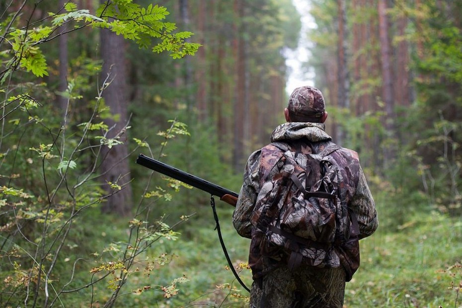 В охотничьих угодьях республики введен запрет охоты в связи с лесными пожарами