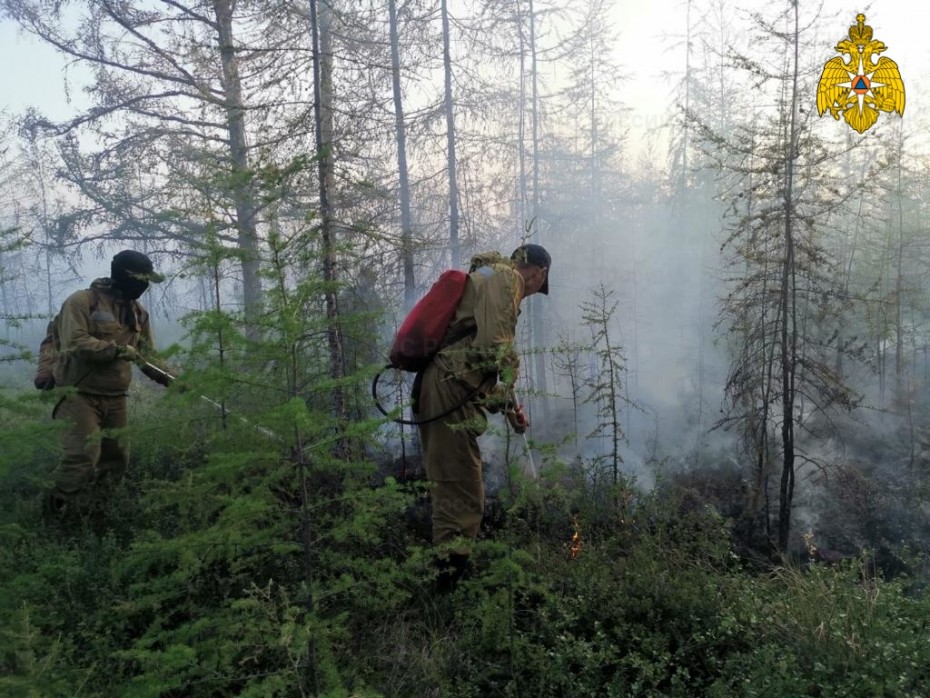 По данным авиалесоохраны в Якутии действует 29 лесных пожаров