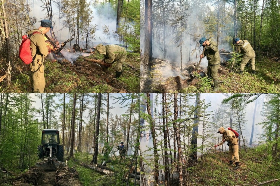По данным авиалесоохраны на территории Якутии действует 51 лесной пожар
