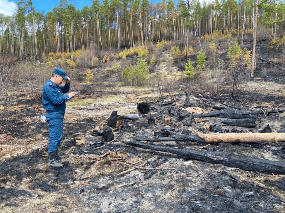 По данным авиалесоохраны 63 лесных пожара действует в Якутии
