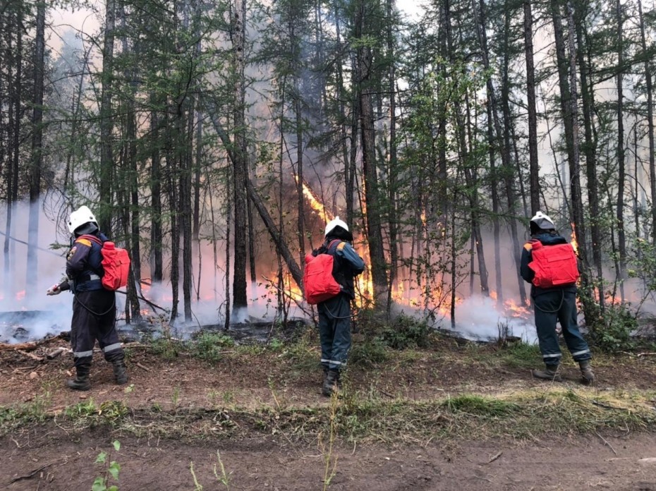 По данным авиалесоохраны в Якутии действует 18 лесных пожаров