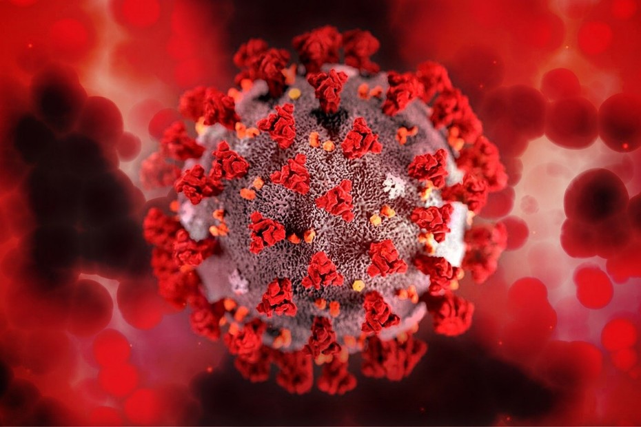 Эксперт полагает, что новый штамм коронавируса "мю" могли уже завезти в Россию