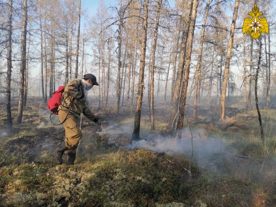 По данным авиалесоохраны в Якутии действует 41 лесной пожар