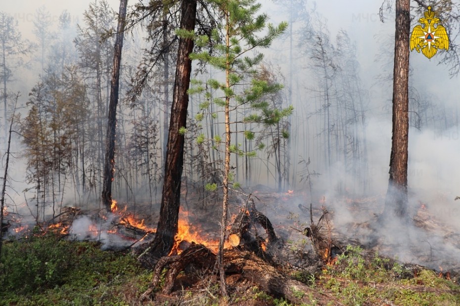 По данным Авиалесоохраны в Якутии действуют 27 лесных пожаров