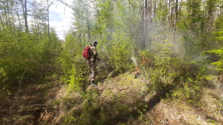 По состоянию на 27 мая лесных пожаров в Якутии не зарегистрировано