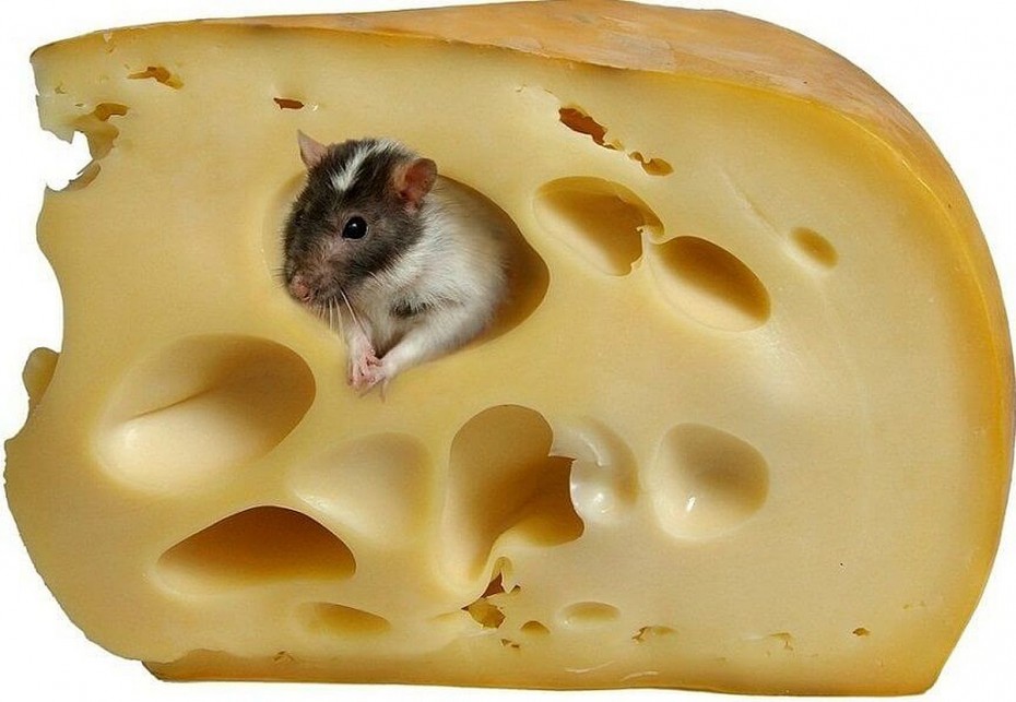 Наркоман был пойман на краже двух головок сыра в Якутске