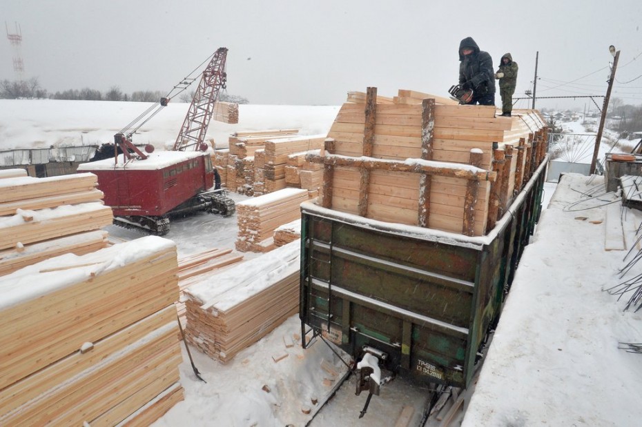 Пресечена контрабанда древесины стоимостью 470 миллионов рублей из Иркутской области