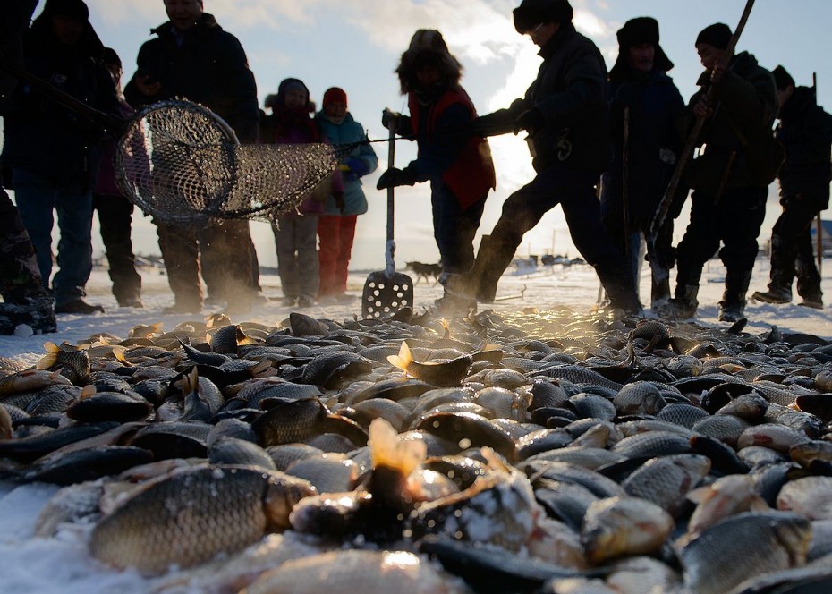 Соблюдение Правил рыболовства – залог приятного времяпровождения на рыбалке!