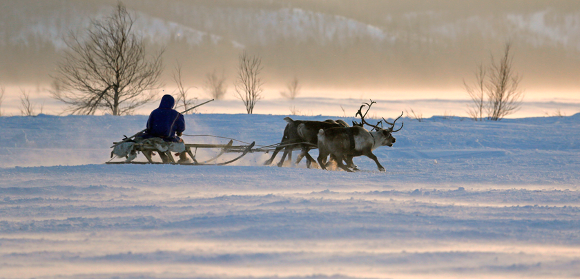 МинАрктики Якутии продлило срок приема заявок на конкурсный отбор среди КМНС на предоставление субсидий