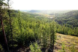 В Якутии планируют восстановить100 тыс гектаров леса