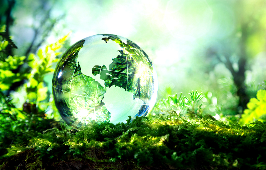 «Россельхозбанк» наградил лучшие экологические проекты