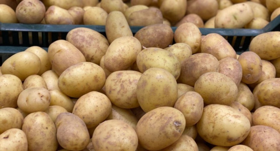 Аграрии предупредили о возможном дефиците картофеля