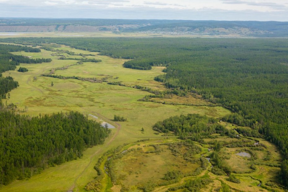 Якутия занимает второе место по количеству выданных «дальневосточных гектаров»
