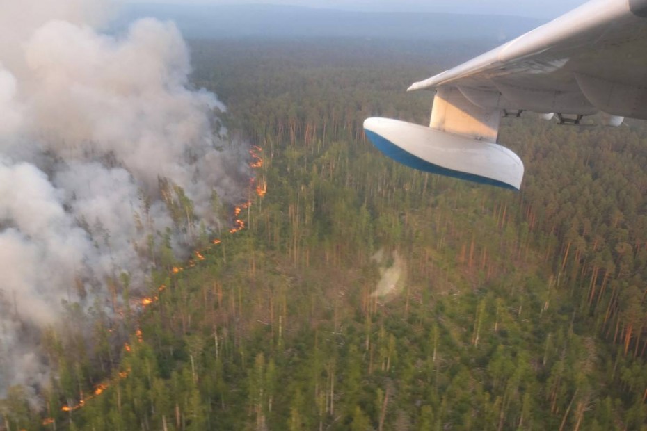 Четыре дополнительных авиаотделения для борьбы с лесными пожарами планируют создать в Якутии