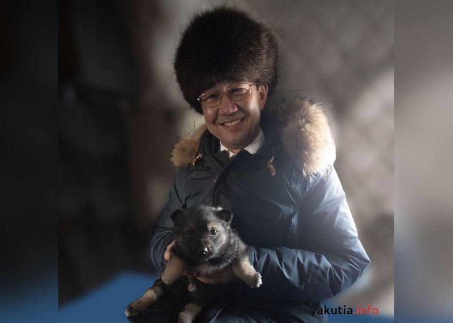 Как и ожидалось: Глава Якутии сослал подаренную ему собаку обратно в Чурапчу