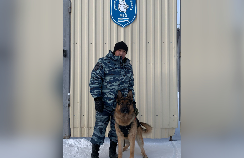 По каплям крови благодаря служебной собаке в Якутске задержали подозреваемого в убийстве