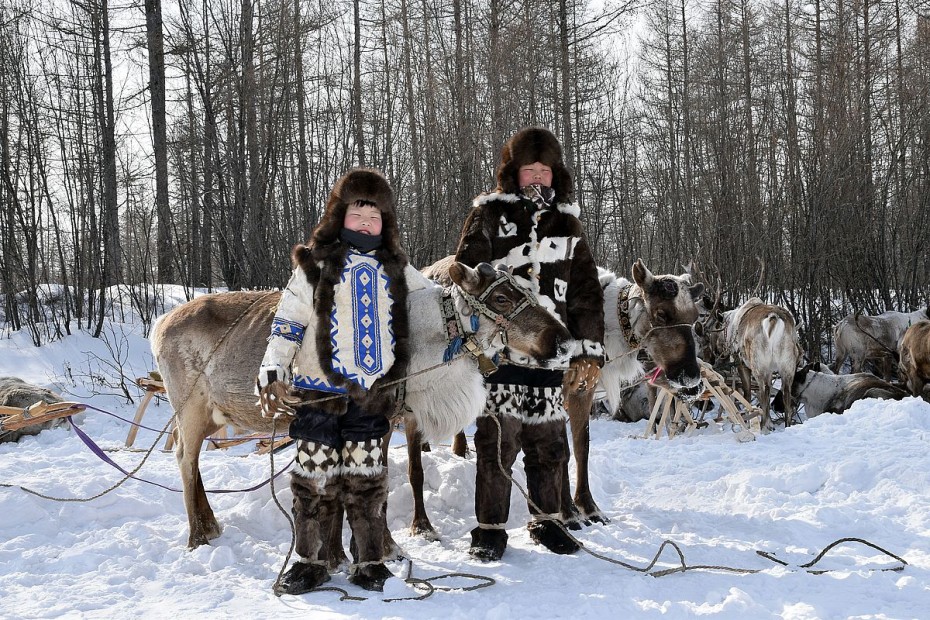 В Якутии увеличат субсидию на поголовье оленей