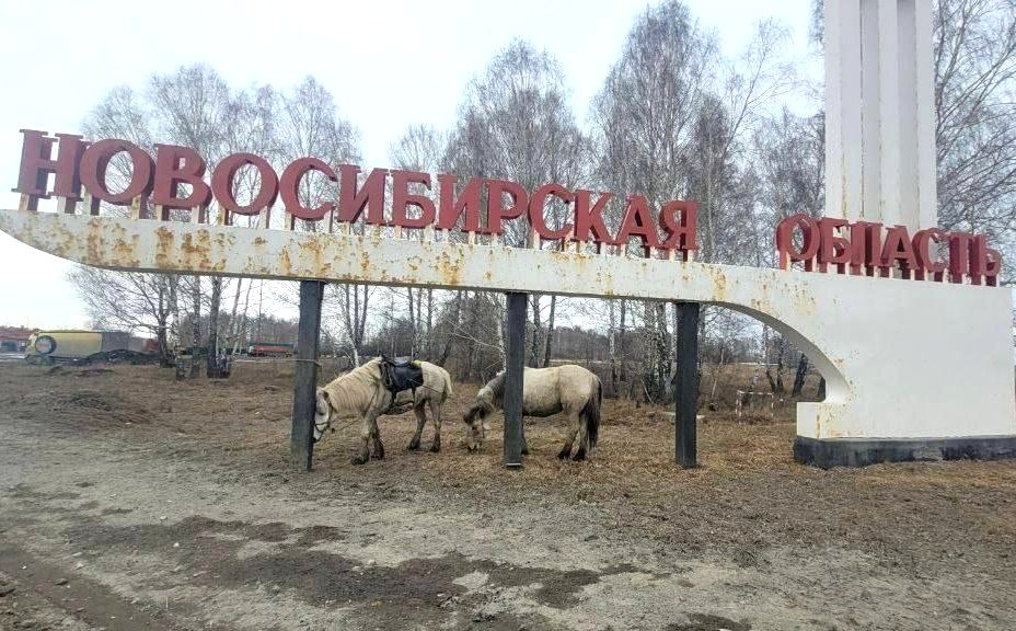 Владимир Федоров: Якутские всадники приближаются к Новосибирску