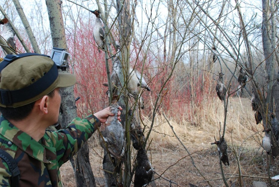 В Якутии усилят рейды по контролю за соблюдением Правил охоты