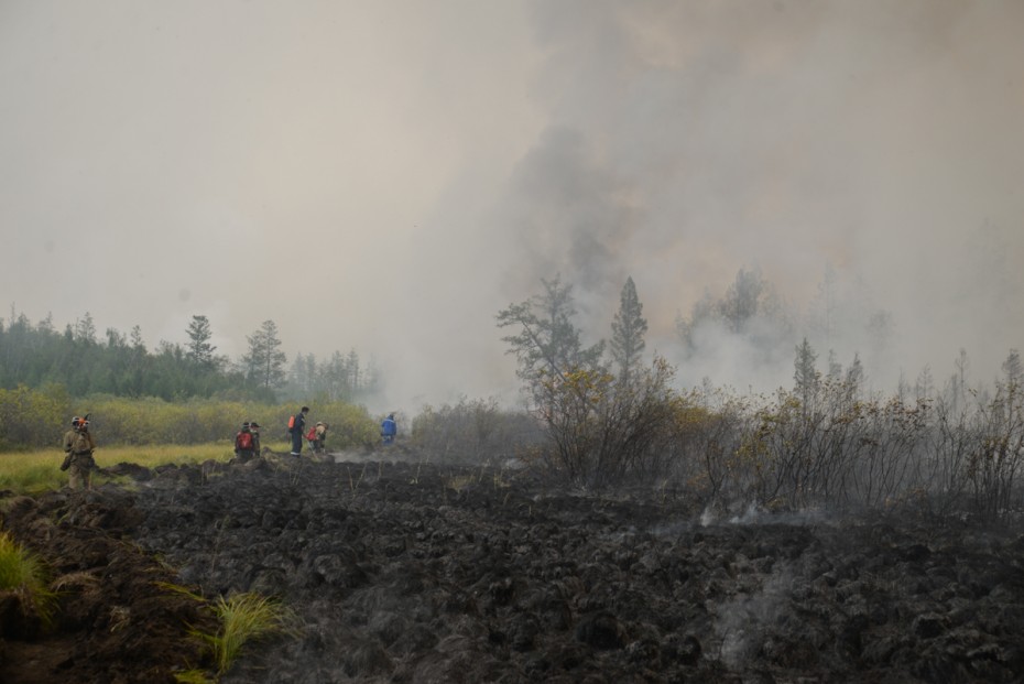 С начала пожароопасного сезона в республике зарегистрировано 15 природных пожаров