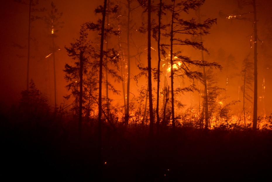 Путин возложил на губернаторов ответственность за лесные пожары