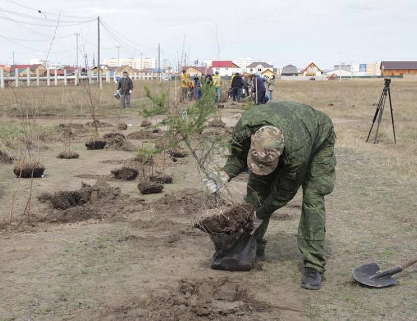 В Якутске пройдет общегородской субботник «Посади свое дерево»
