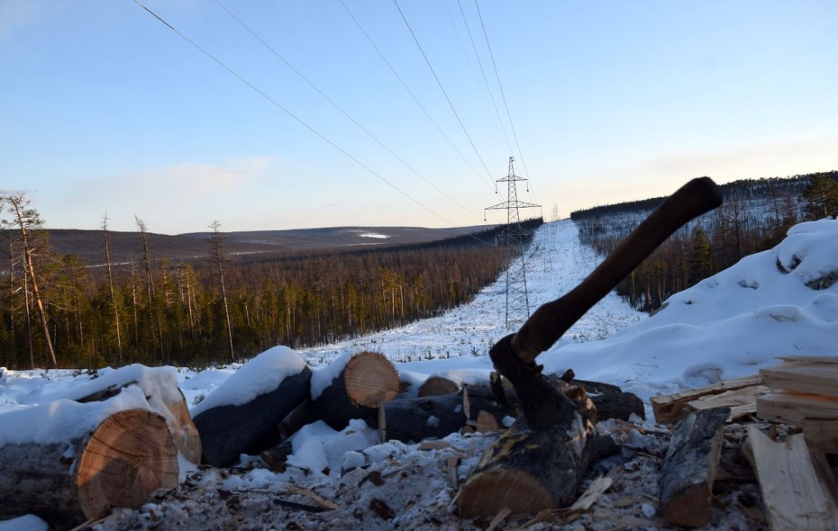 Именем «резолюции»: Общественность Якутии утвердила требования по контролю над лесозаготовителями