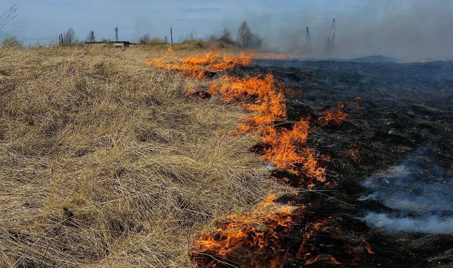 По состоянию на 26 мая в Якутии действует один лесной пожар