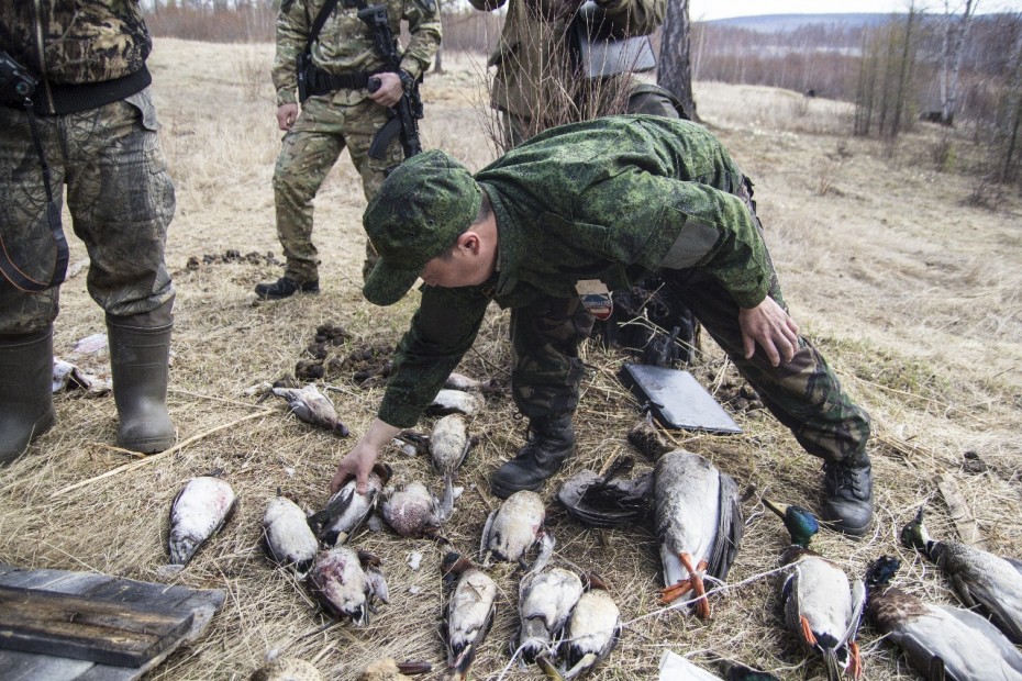 За праздничные дни выявлено 61 нарушение правил охоты