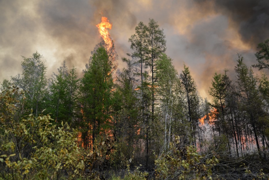 В четырех районах Якутии открыт пожароопасный сезон
