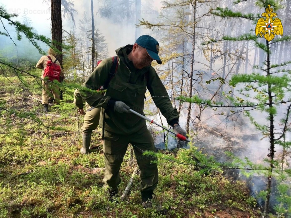 Лесной пожар действует в Ленском районе