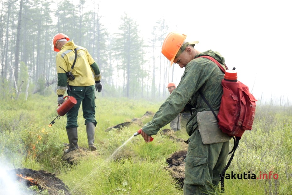 Александр Козлов: Основное требование по лесным пожарам для губернаторов – тушение в первые сутки