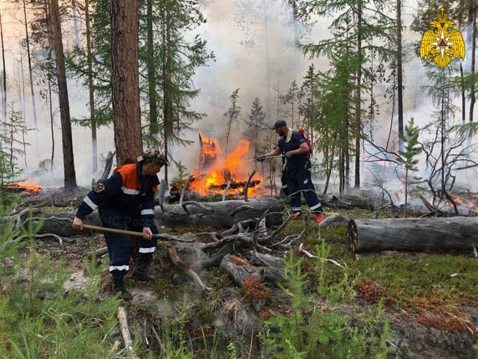 81 лесной пожар действует в Якутии по состоянию на 4 августа