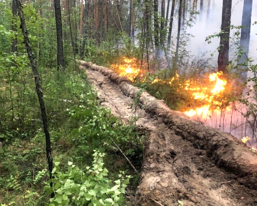 Лесной пожар оперативно локализован на территории города Якутска
