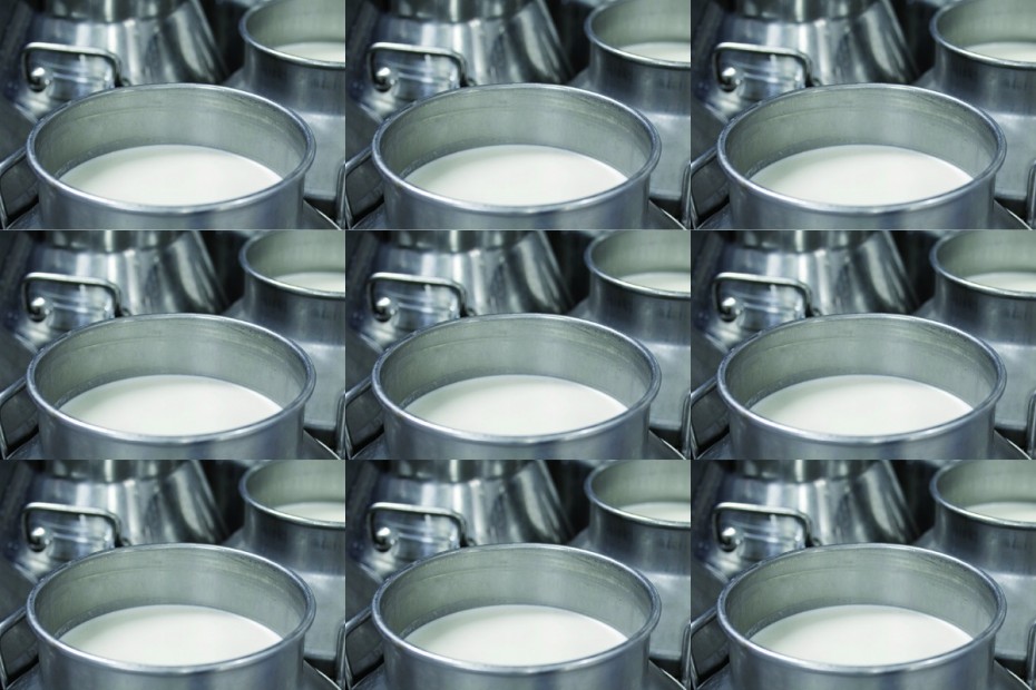 2,6 миллиардов рублей направили на производство и переработку молока в Якутии