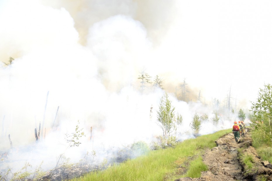 Наибольшее число пожаров в стране бушует в Якутии