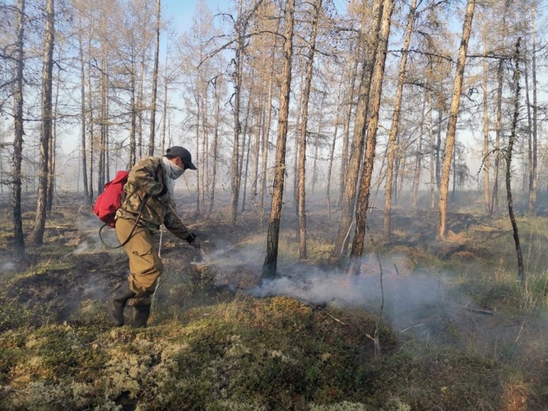 27 лесных пожаров действует в Якутии по состоянию на 27 июня