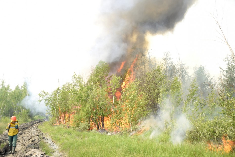 В районах Якутии с высокой грозовой активностью наблюдается всплеск лесных пожаров