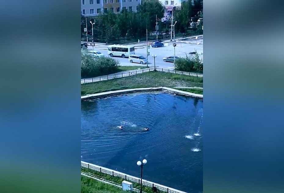 Двое неизвестных устроили заплыв на Тёплом озере в Якутске – видео