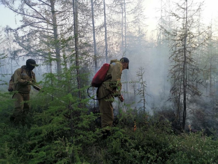 Два лесных пожара ликвидировано в Якутии по состоянию на 23 июня