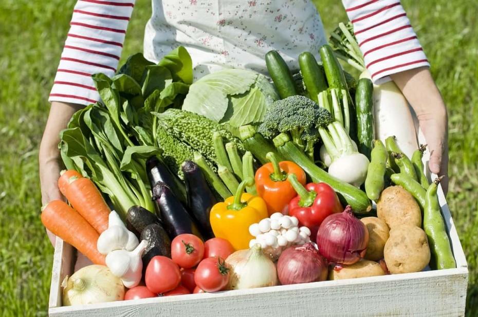 С грядки на полку: Овощи с огорода могут разрешить продавать в магазинах