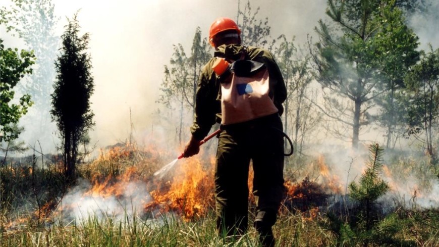 По состоянию на 19 июня в Якутии действует 57 лесных пожаров