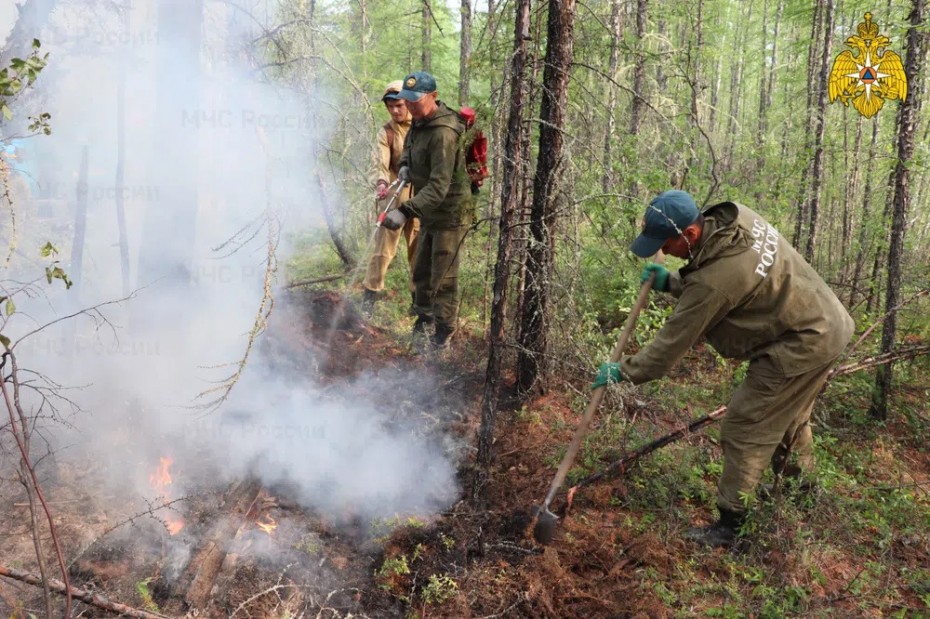 По состоянию на 12 июля 43 лесных пожара действует в Якутии
